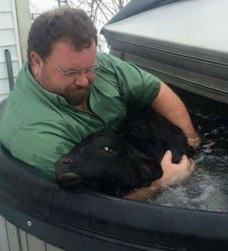 A farmer uses a hot tub to rescue the life of a newborn calf that is frozen in the snow.»