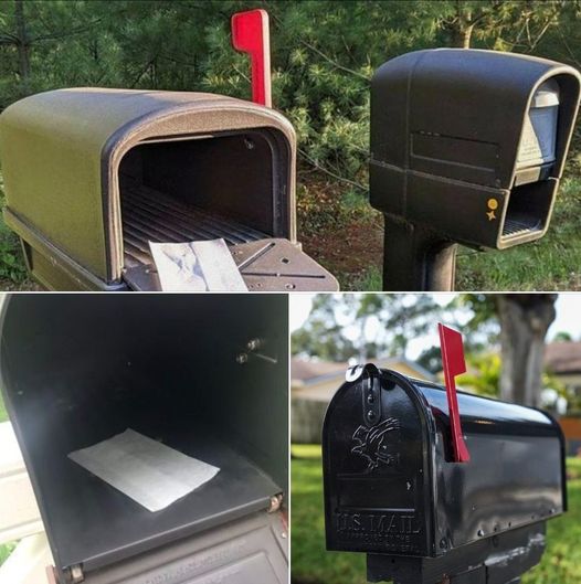 How to Keep Wasps Away from Your Mailbox