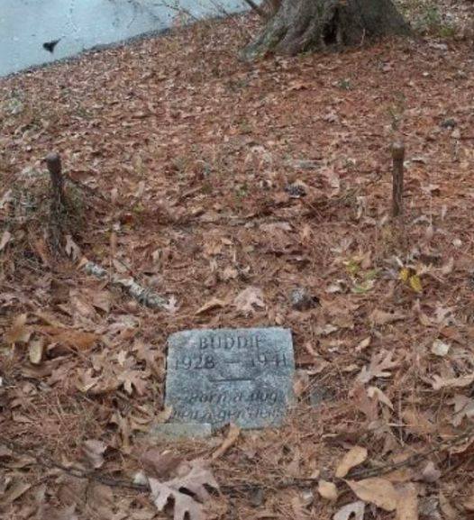 Man Breaks Down In Tears After Seeing What’s Written On Grave In The Middle Of The Woods