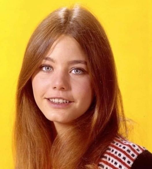 Susan Dey’s life following the popular TV show “The Partridge Family” and her childhood romance on coworker David Cassidy