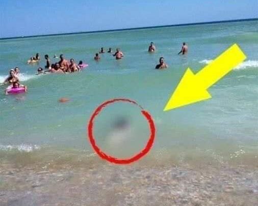 Tourists Stunned by What They Saw!