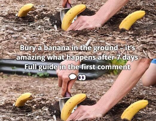 Bury a banana in the ground – it’s amazing what happens after 7 days