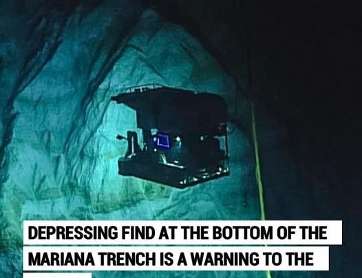 Depressing find at the bottom of the Mariana Trench is a warning to the world