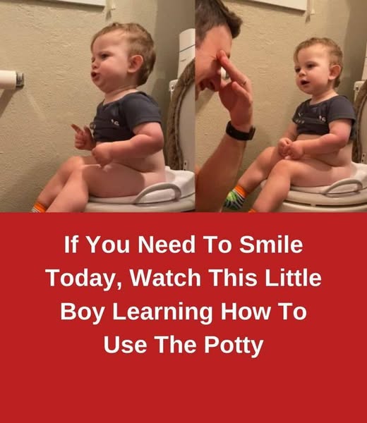 If You Need To Smile Today, Watch This Little Boy Learning How To Use The Potty