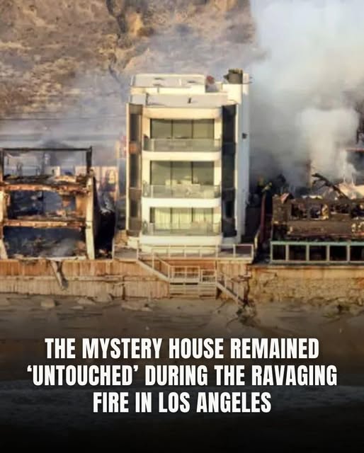 During The Wildfires In Los Angeles, The Business Magnate Explains How The “Miracle” House Survived “Untouched”