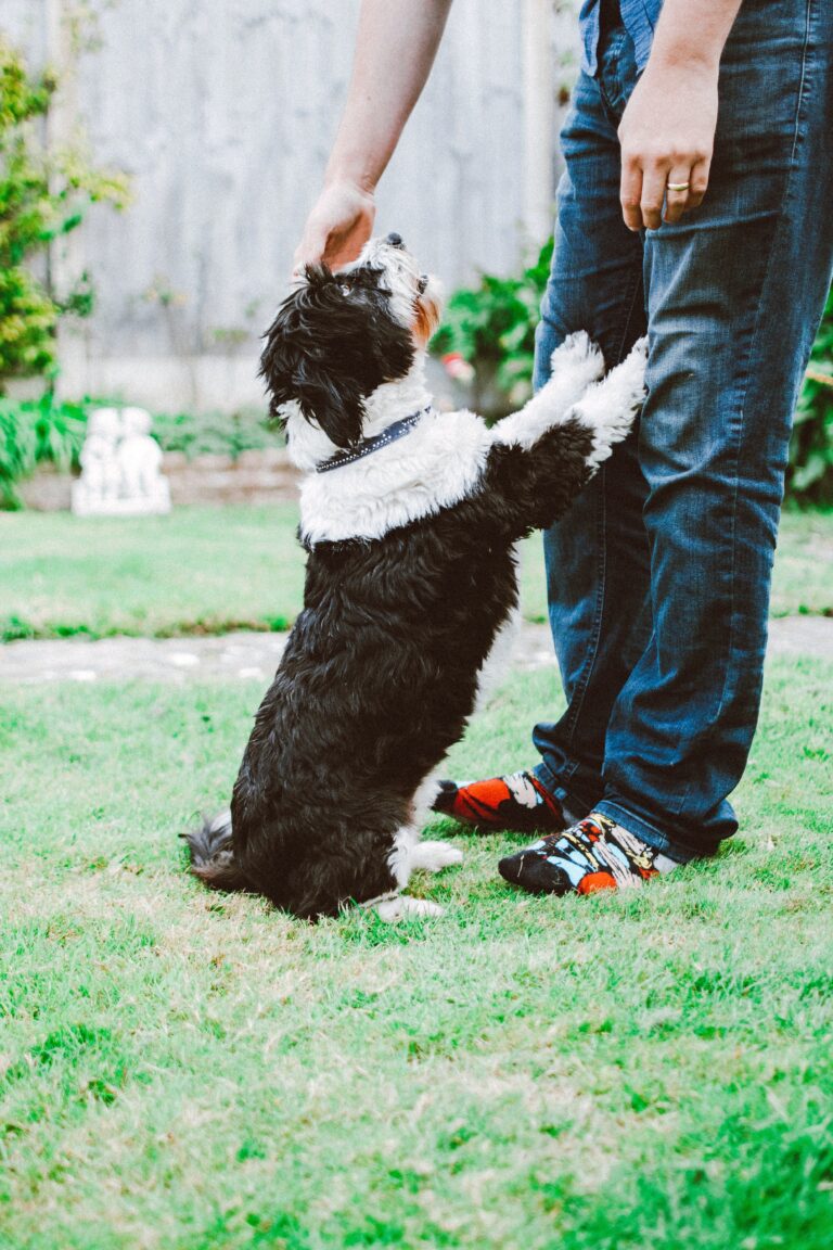 Man Hears His Dog Barking from Afar, Finds It Sitting near an Abandoned Baby – Story of the Day