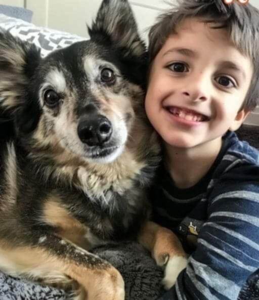 A Rescue Dog Came Home with Us — The Next Night, My 8-Year-Old Son Disappeared